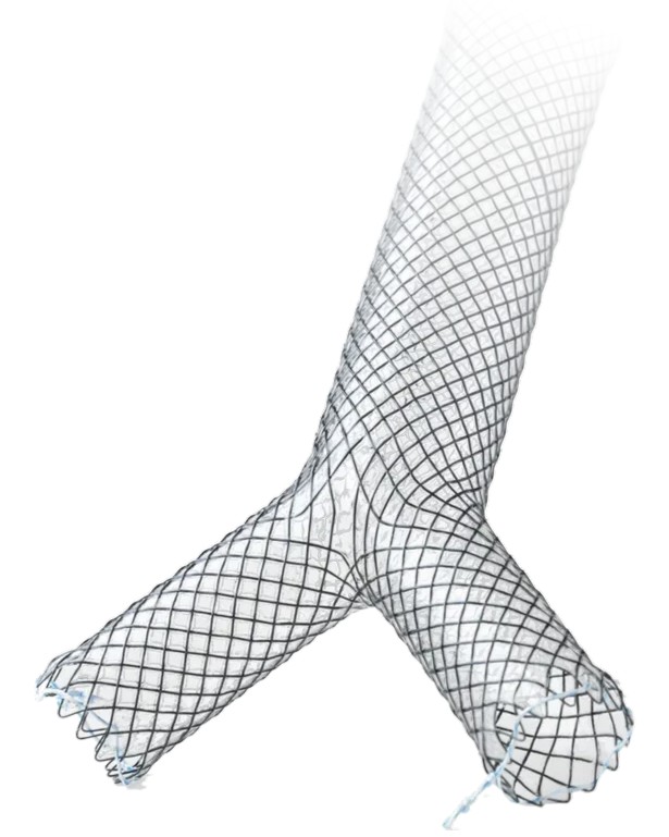 MICRO-TECH carina Y-stent